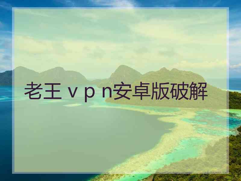 老王 v p n安卓版破解