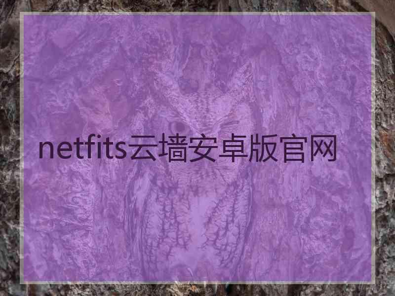 netfits云墙安卓版官网