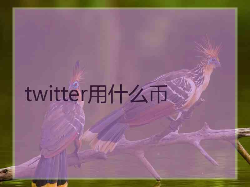 twitter用什么币