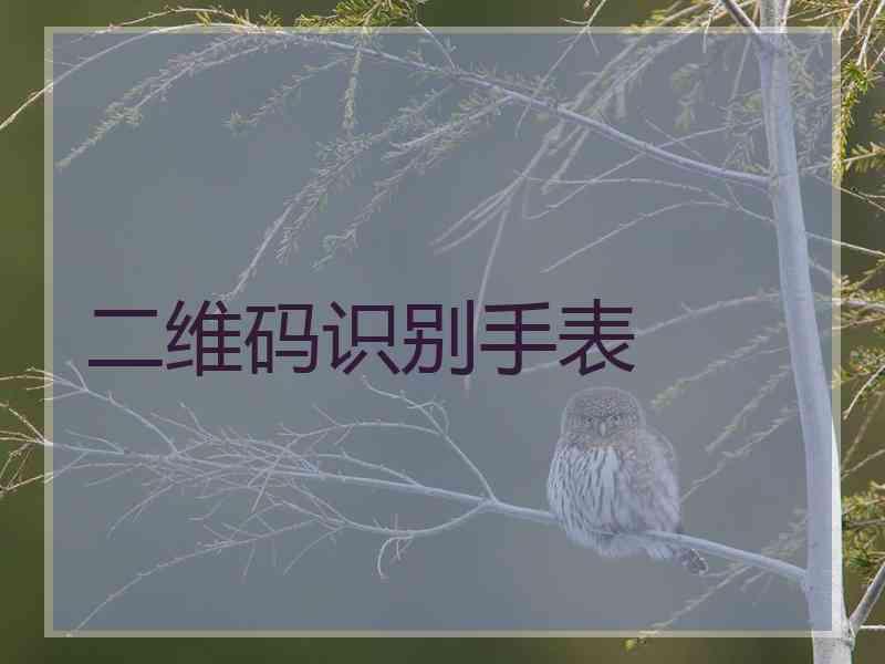 二维码识别手表