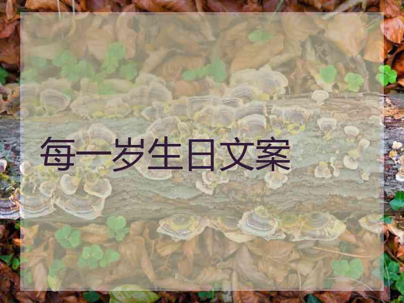 每一岁生日文案