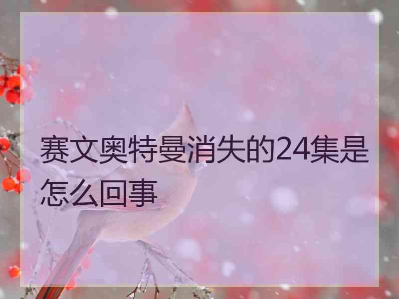 赛文奥特曼消失的24集是怎么回事