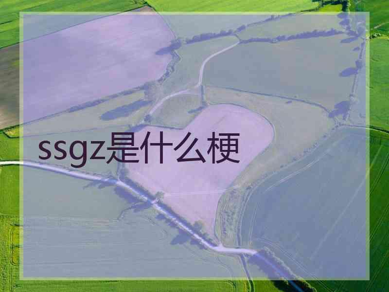 ssgz是什么梗