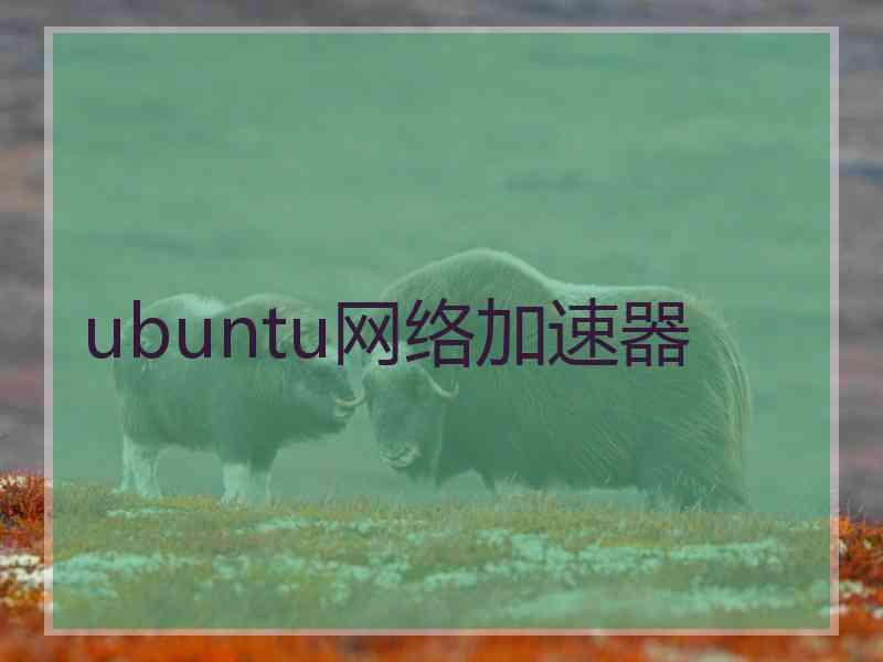 ubuntu网络加速器