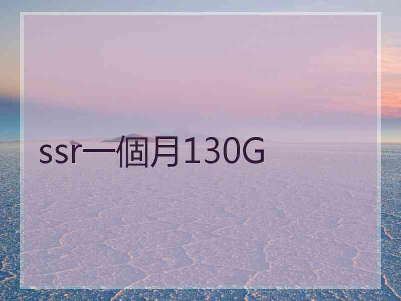 ssr一個月130G