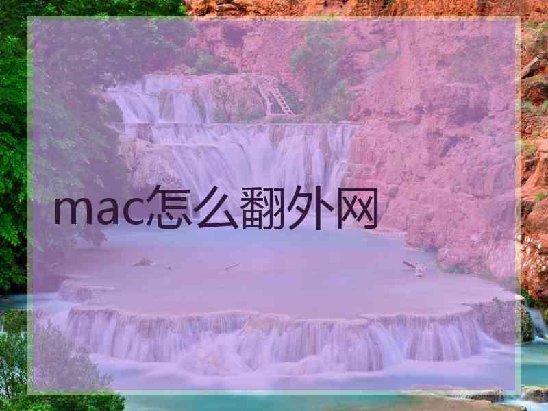 mac怎么翻外网