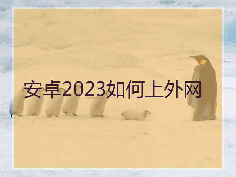 安卓2023如何上外网