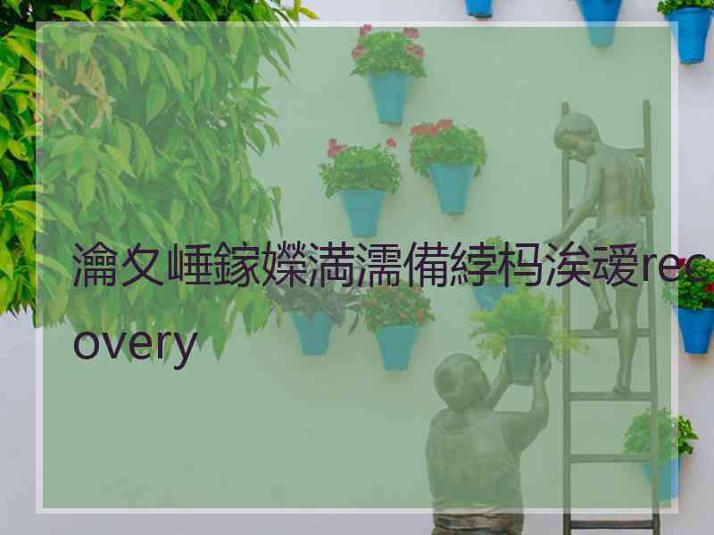 瀹夊崜鎵嬫満濡備綍杩涘叆recovery