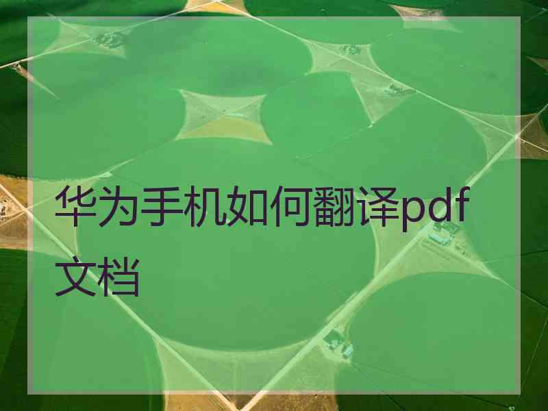 华为手机如何翻译pdf文档