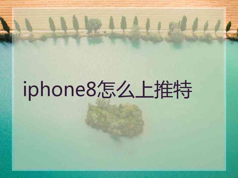 iphone8怎么上推特