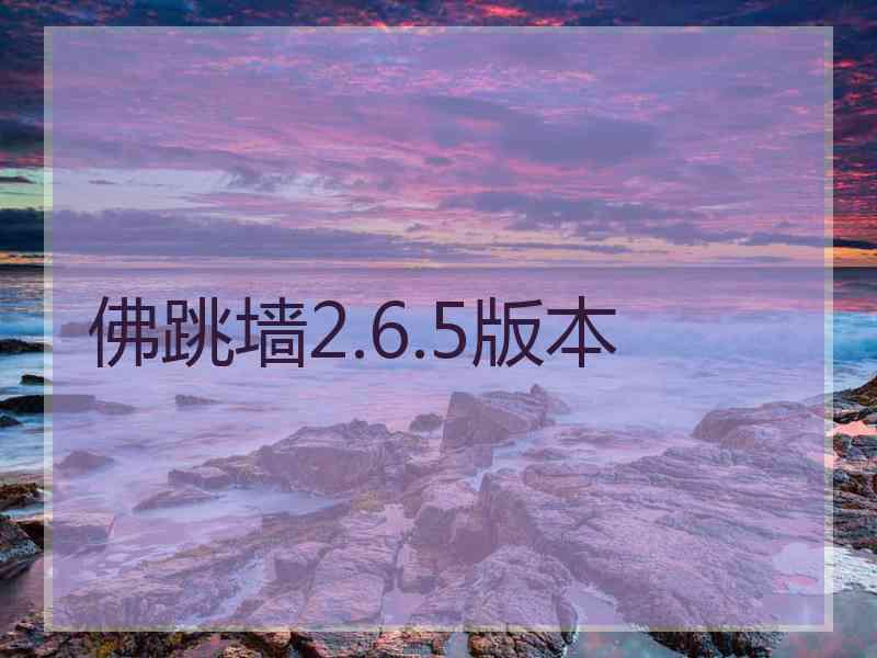 佛跳墙2.6.5版本