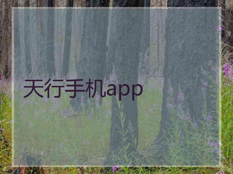 天行手机app