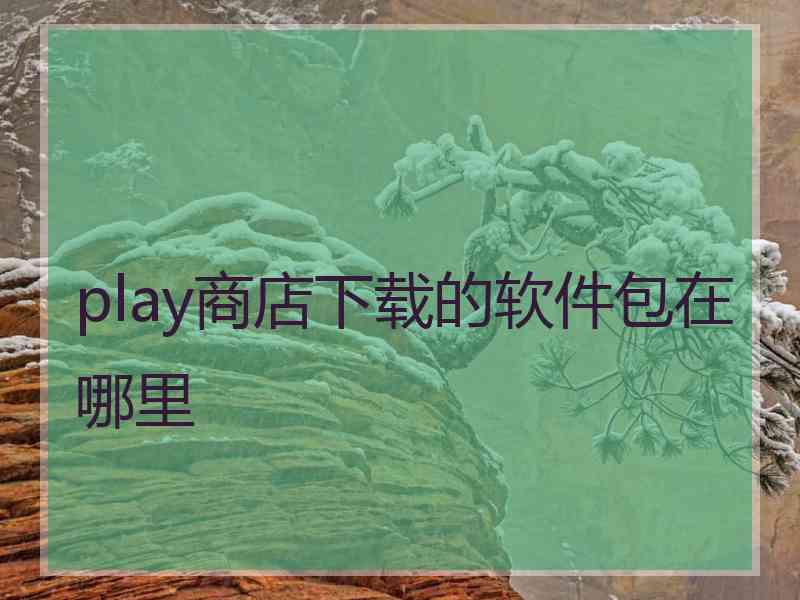 play商店下载的软件包在哪里