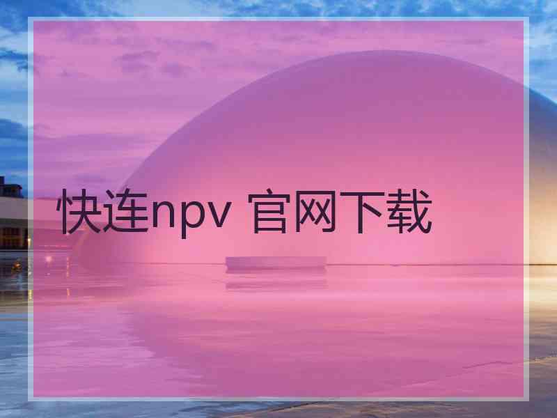 快连npv 官网下载