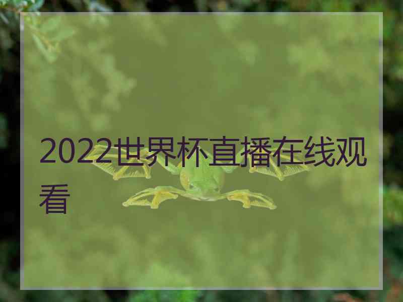 2022世界杯直播在线观看