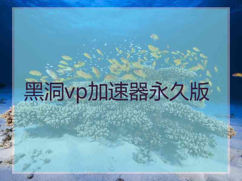 黑洞vp加速器永久版