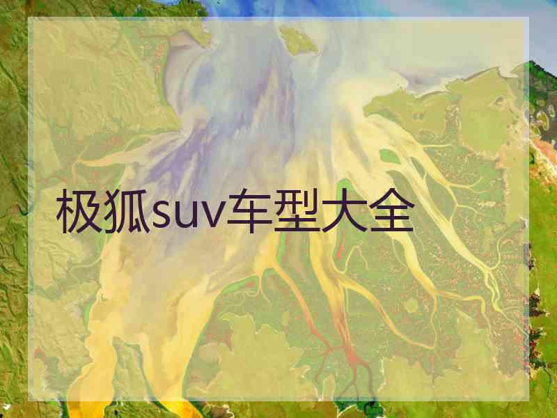 极狐suv车型大全