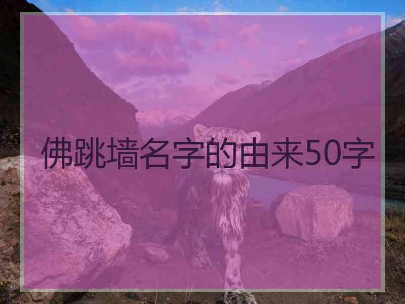 佛跳墙名字的由来50字