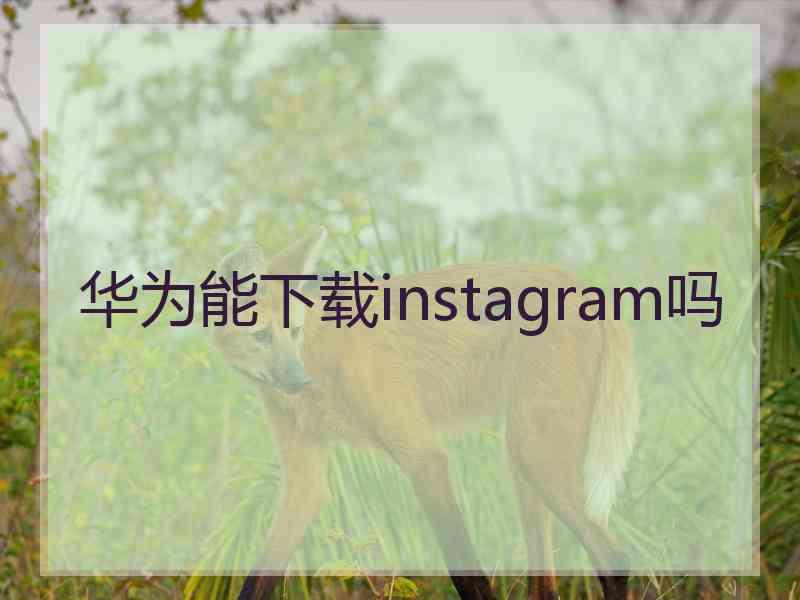 华为能下载instagram吗