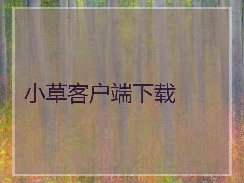 小草客户端下载