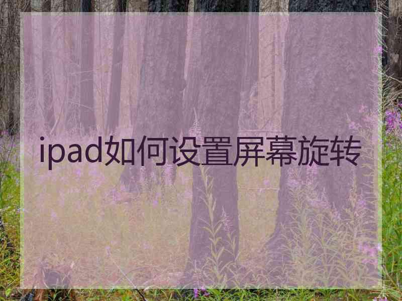 ipad如何设置屏幕旋转