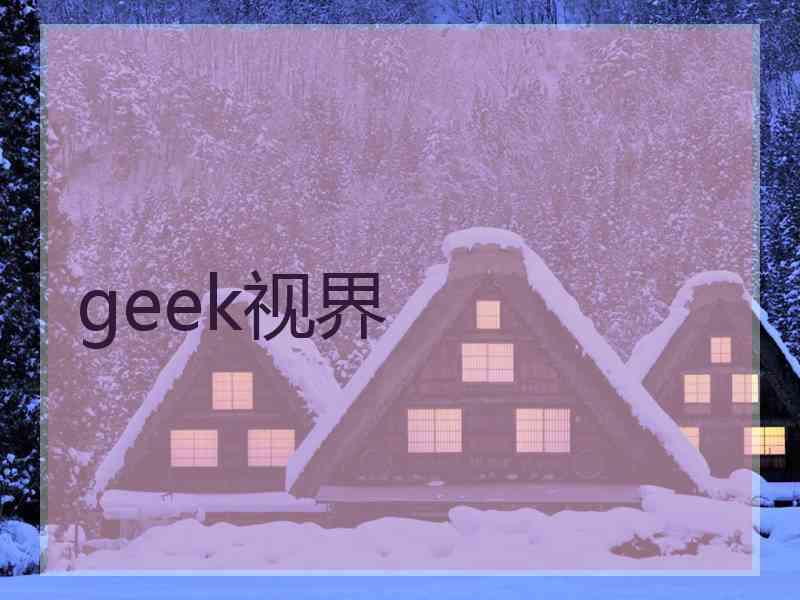 geek视界