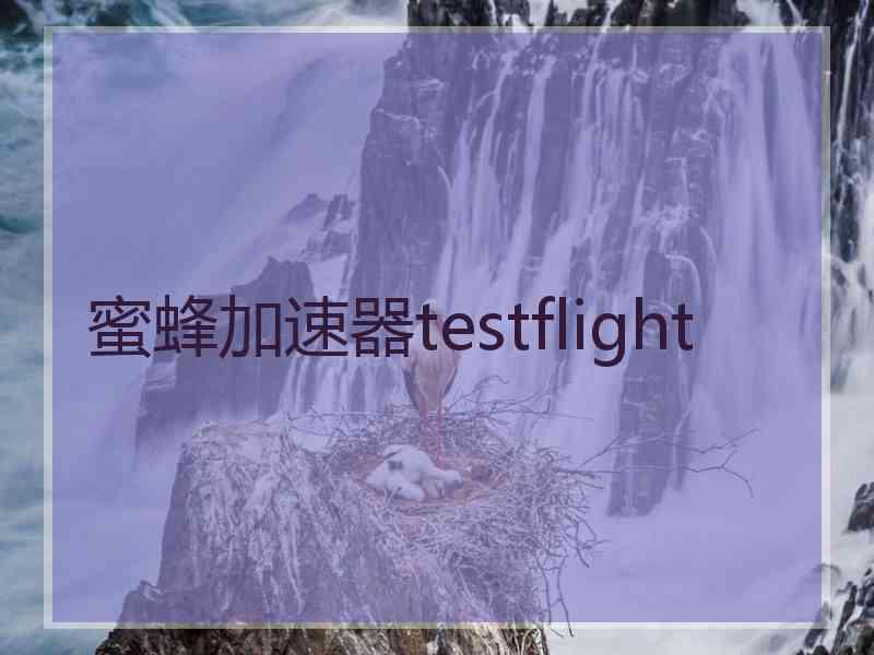 蜜蜂加速器testflight