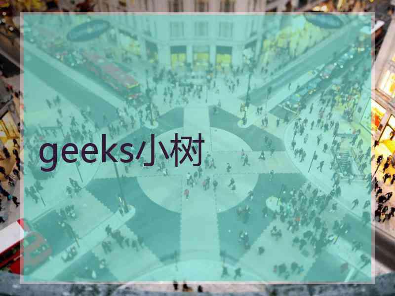 geeks小树