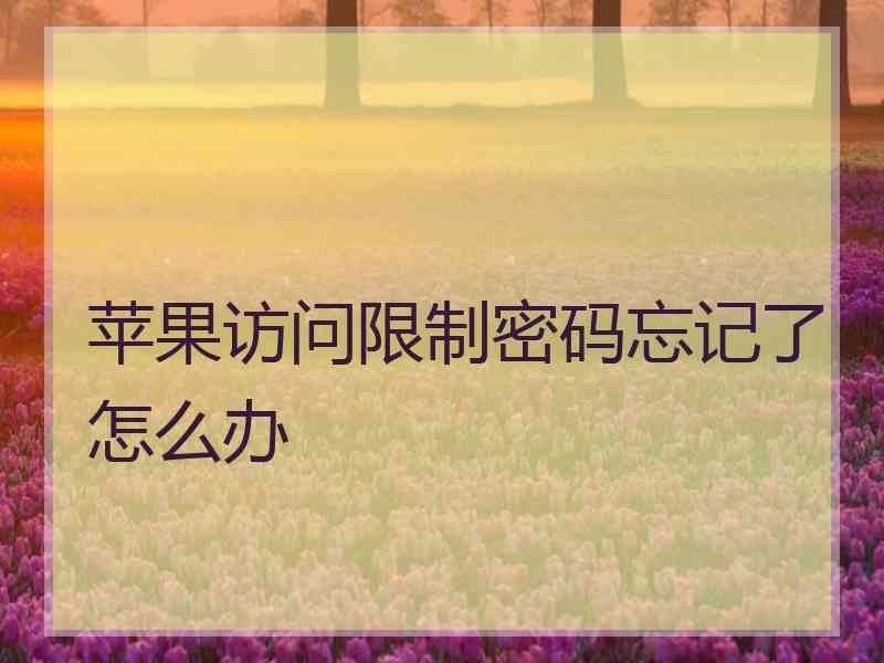 苹果访问限制密码忘记了怎么办