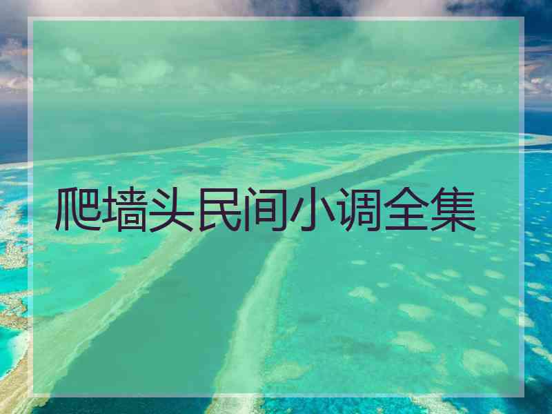 爬墙头民间小调全集