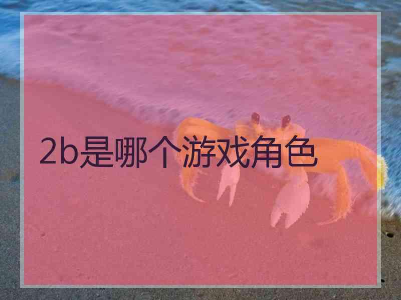 2b是哪个游戏角色