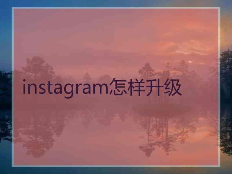 instagram怎样升级