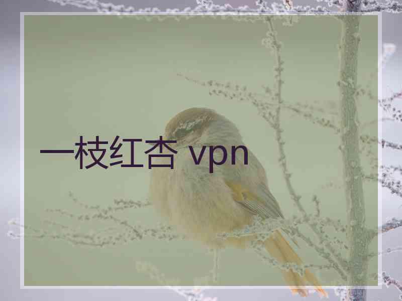 一枝红杏 vpn