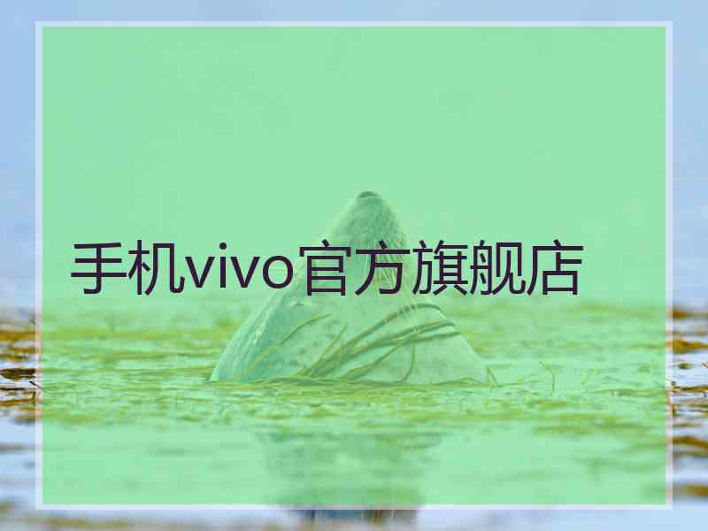 手机vivo官方旗舰店