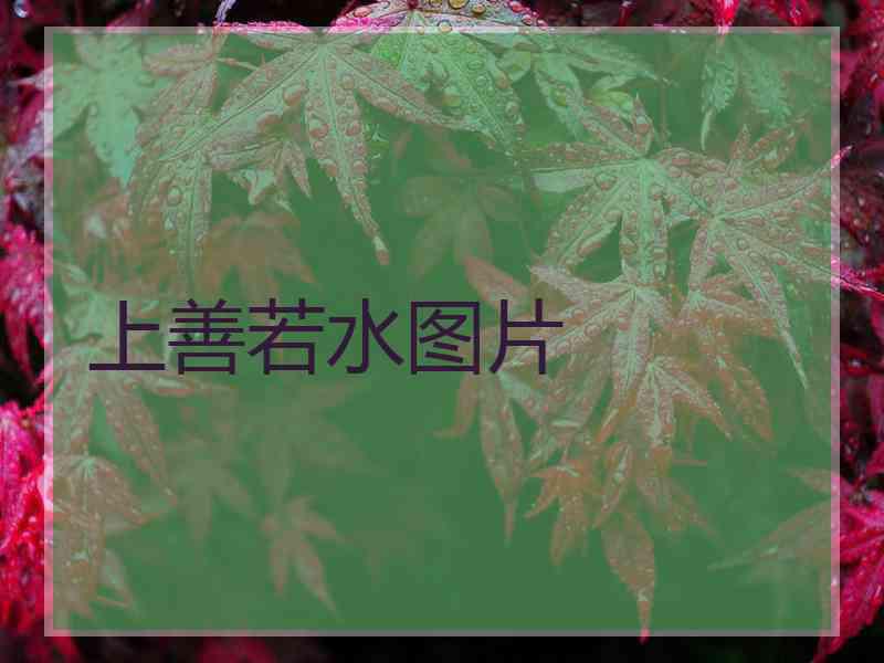 上善若水图片