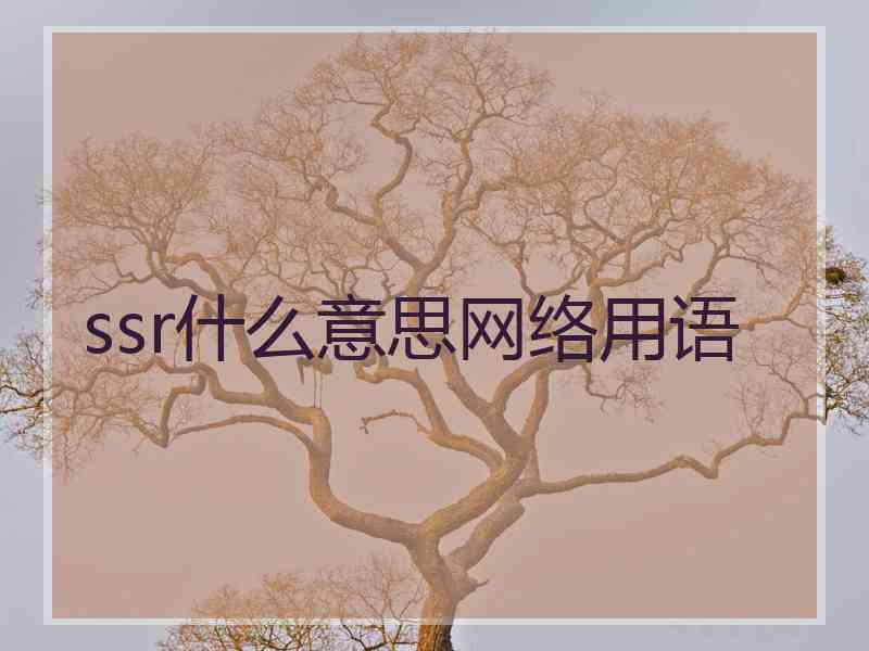 ssr什么意思网络用语