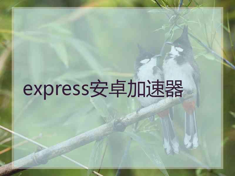 express安卓加速器