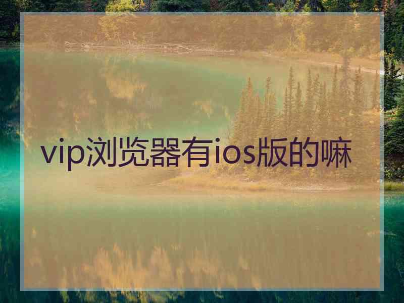 vip浏览器有ios版的嘛