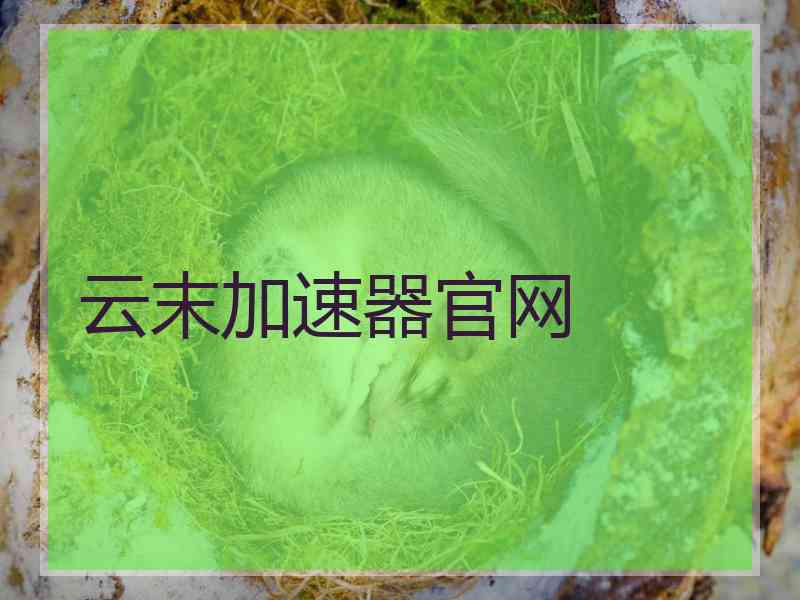 云末加速器官网