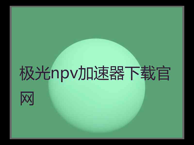 极光npv加速器下载官网