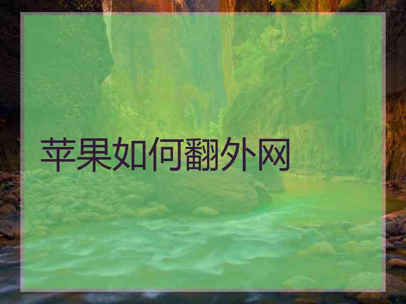 苹果如何翻外网