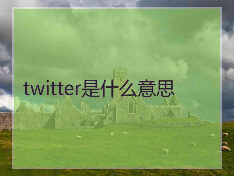 twitter是什么意思