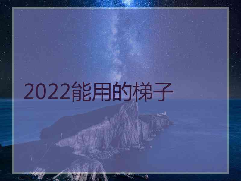 2022能用的梯子