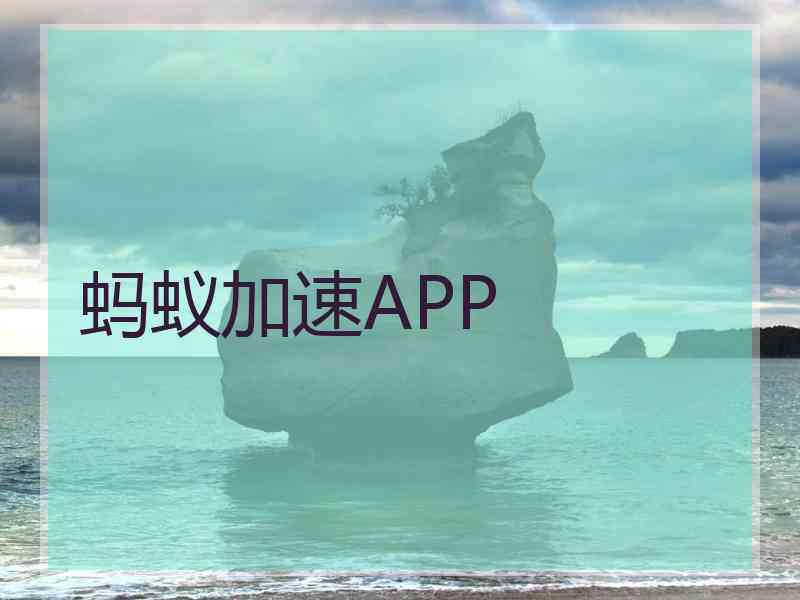 蚂蚁加速APP