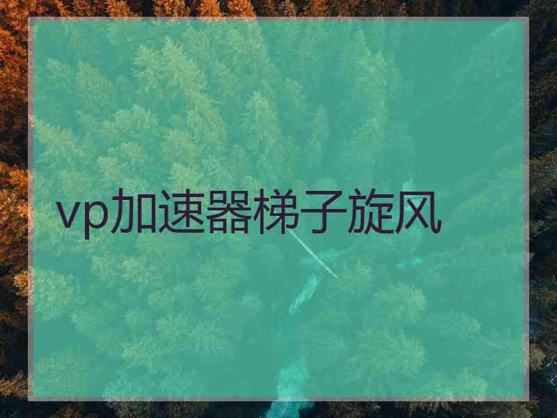 vp加速器梯子旋风