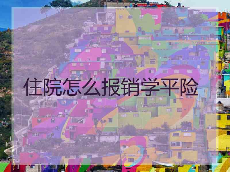 住院怎么报销学平险