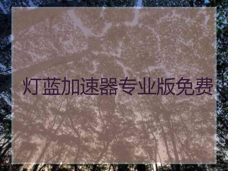 灯蓝加速器专业版免费