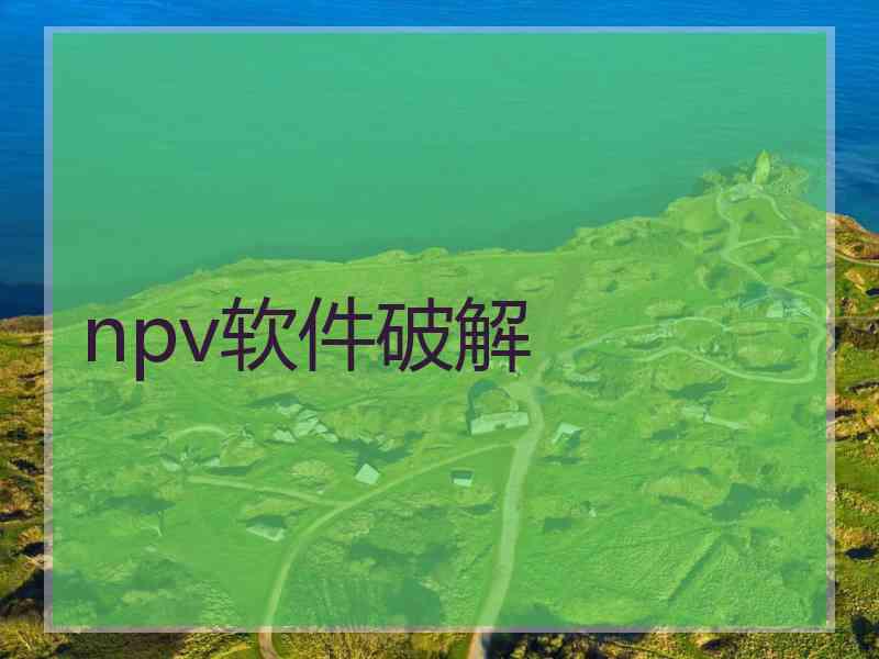 npv软件破解