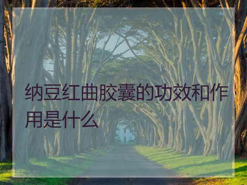 纳豆红曲胶囊的功效和作用是什么