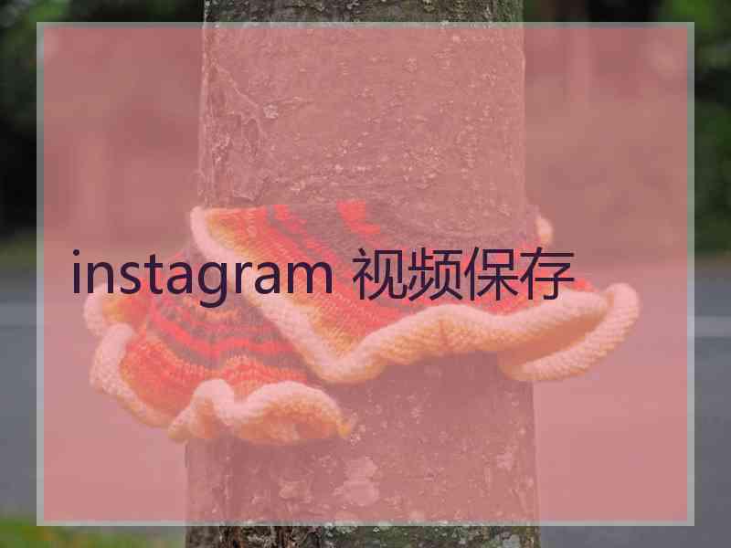 instagram 视频保存